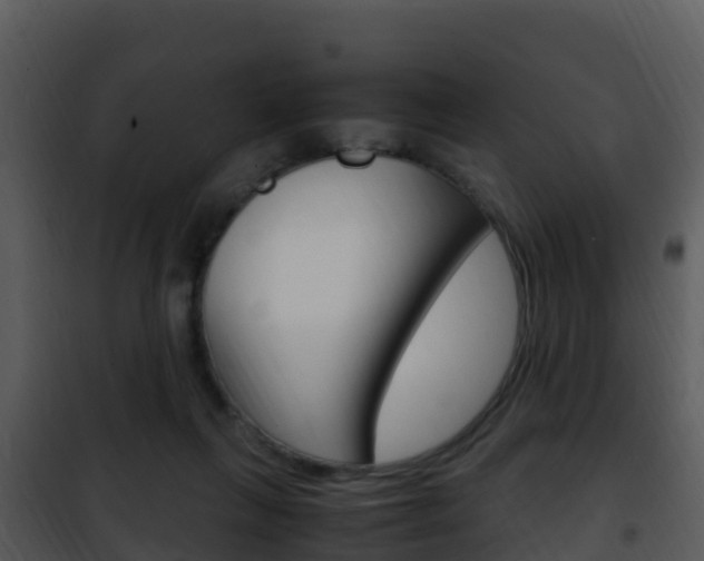 X0000101990263200807180831