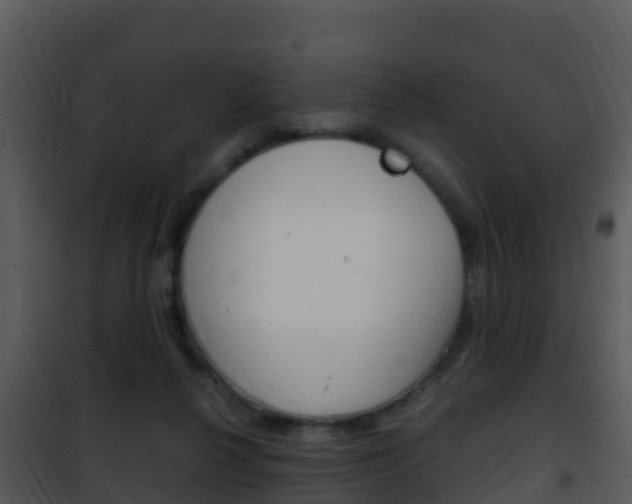 X0000101990264200807180831