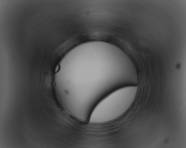 X0000101990266200807180832