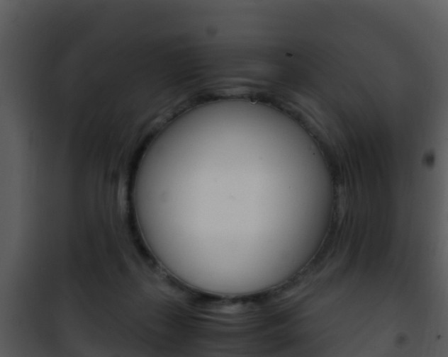 X0000101990267200807180832