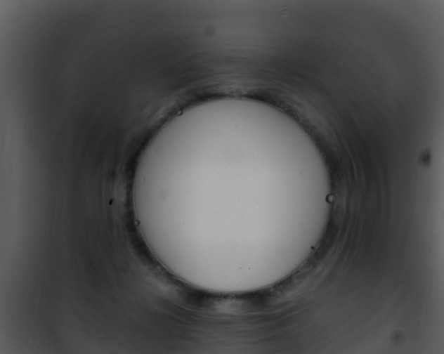 X0000101990268200807180832