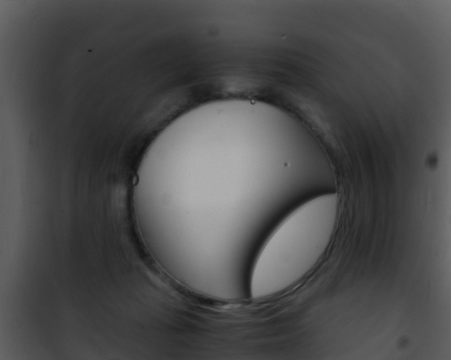 X0000101990269200807180832