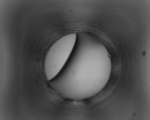X0000101990270200807180832
