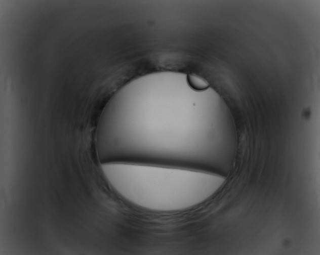 X0000101990271200807180832