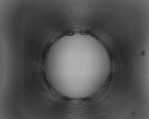 X0000101990272200807180832