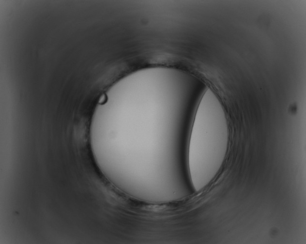 X0000101990273200807180832