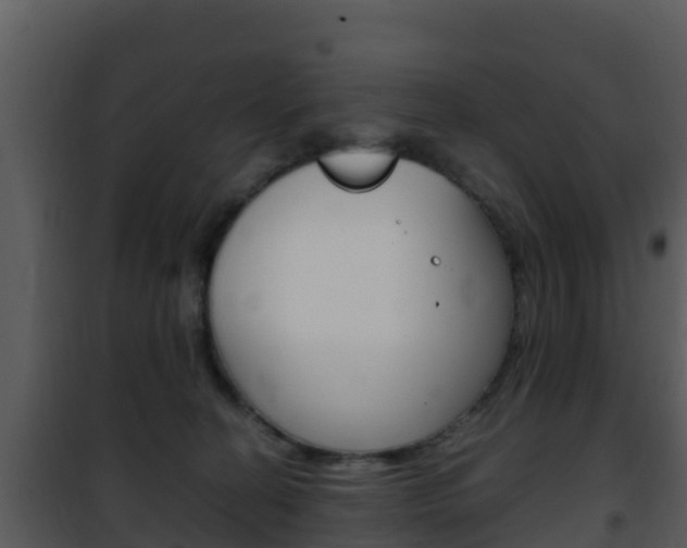 X0000101990274200807180832