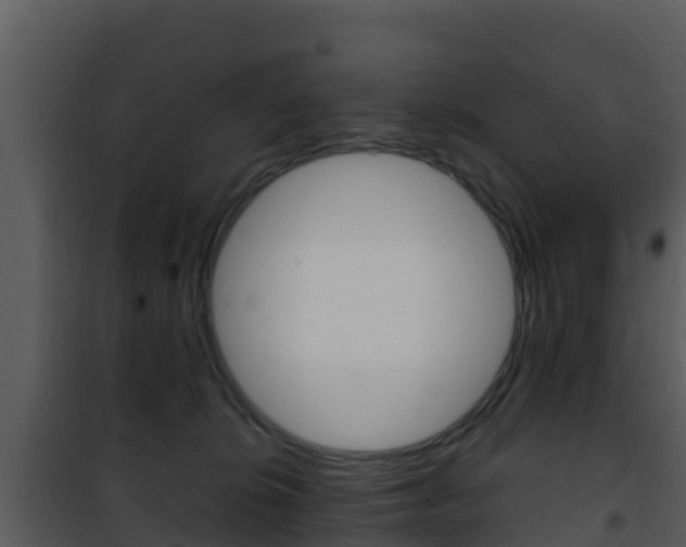 X0000101990276200807180832