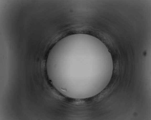 X0000101990278200807180832