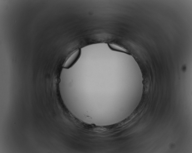 X0000101990279200807180832