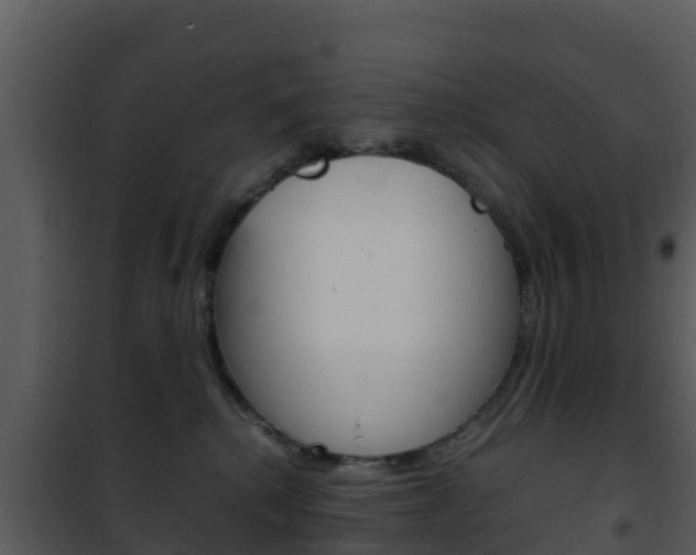 X0000101990280200807180832