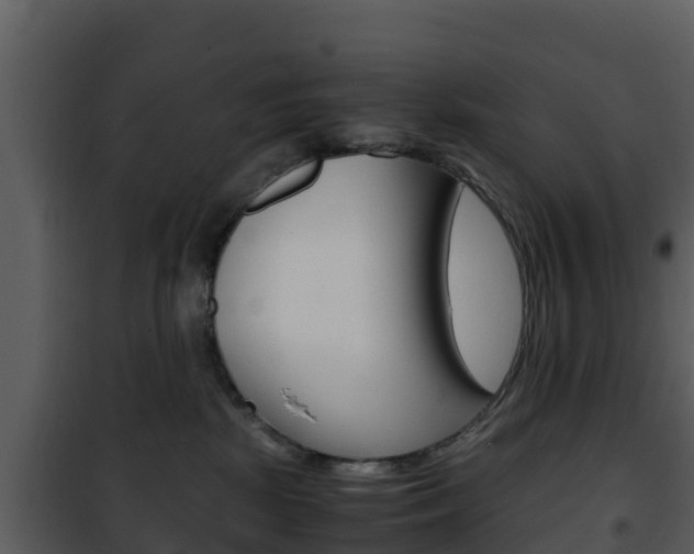 X0000101990281200807180832
