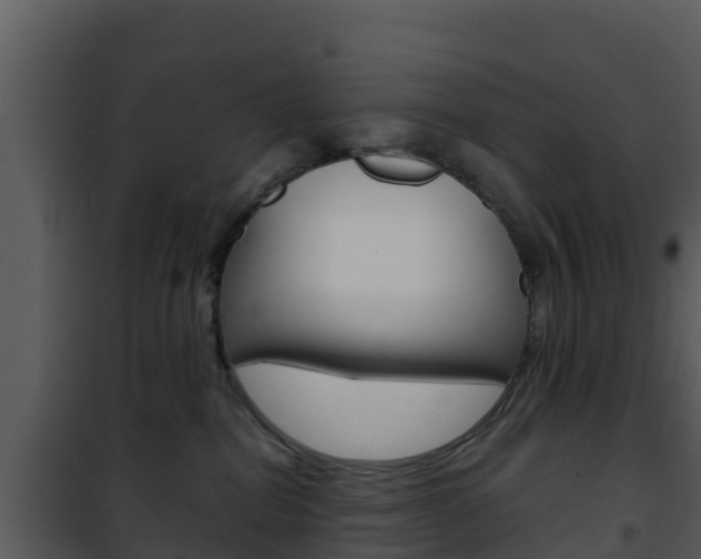 X0000101990282200807180832