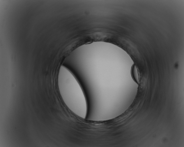 X0000101990283200807180832