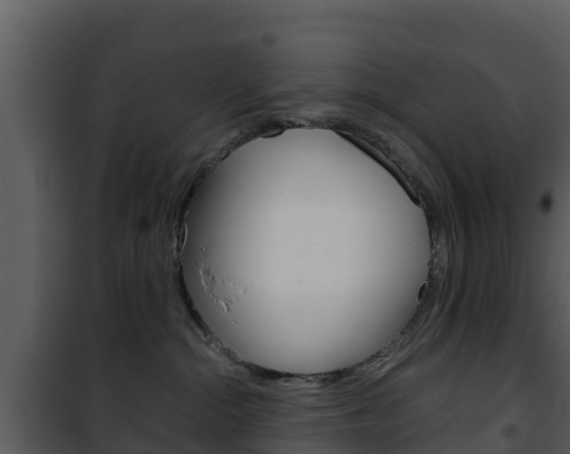 X0000101990284200807180832