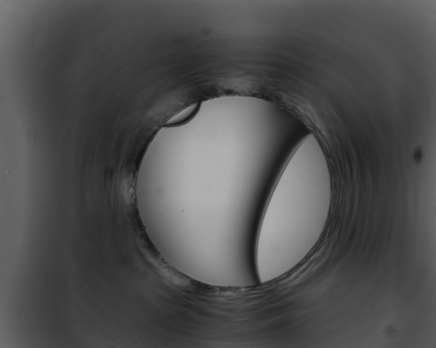 X0000101990285200807180832