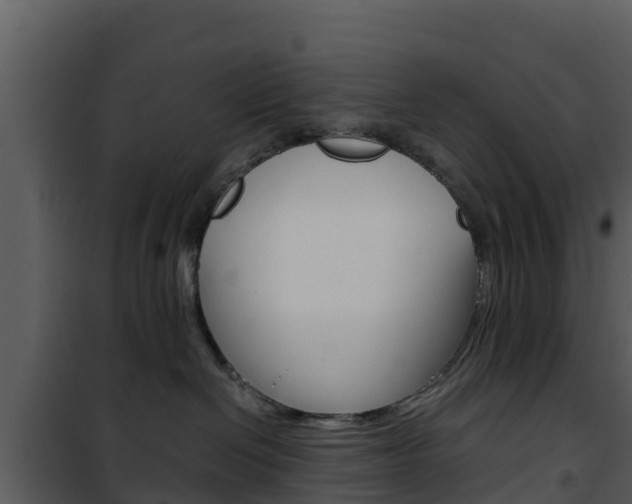X0000101990286200807180832