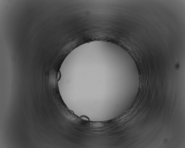 X0000101990287200807180832