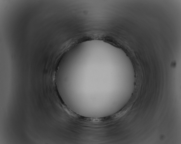 X0000101990288200807180832