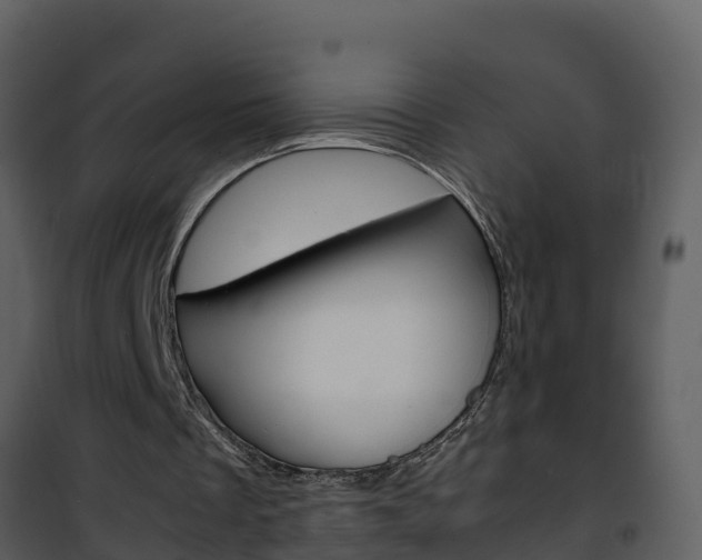 X0000101990289200807180831