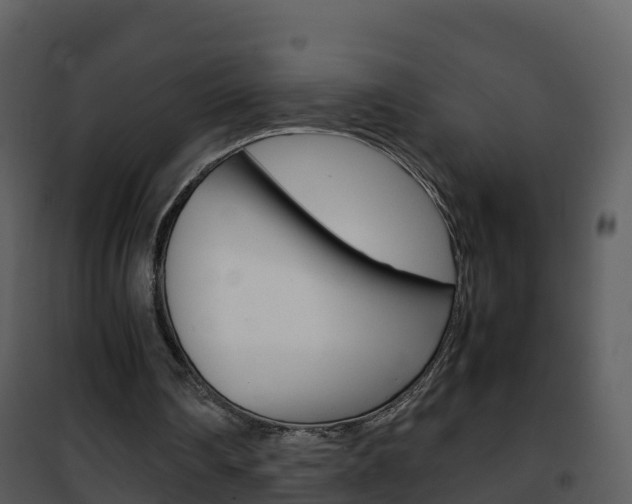 X0000101990290200807180831