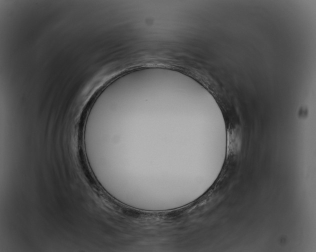X0000101990291200807180831