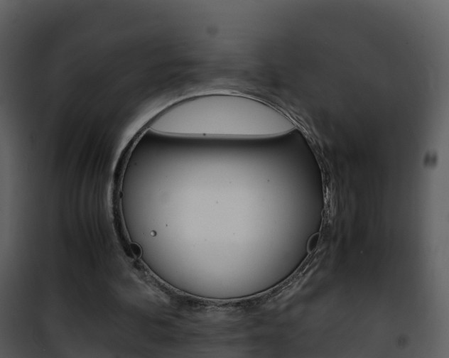 X0000101990292200807180831