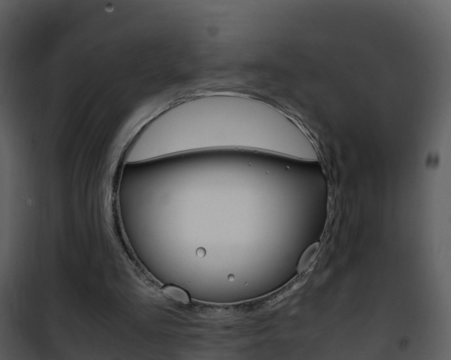 X0000101990293200807180831