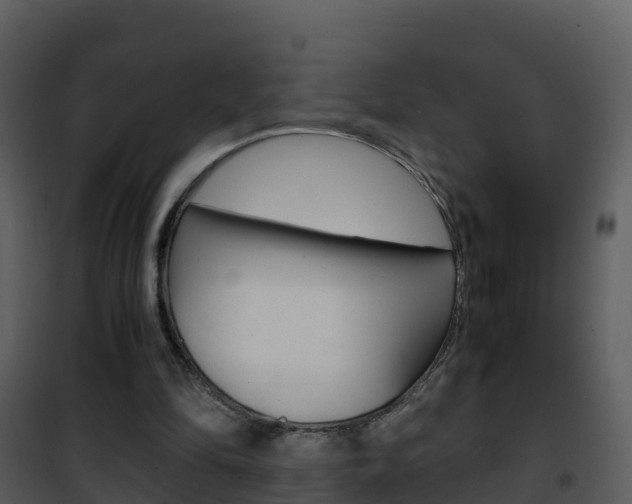 X0000101990294200807180831