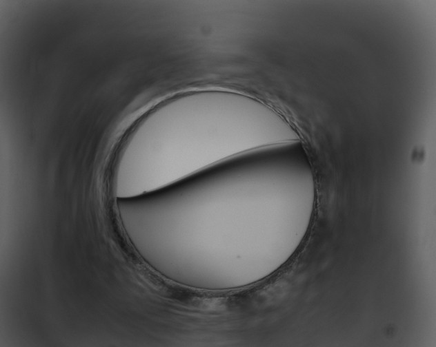 X0000101990295200807180831