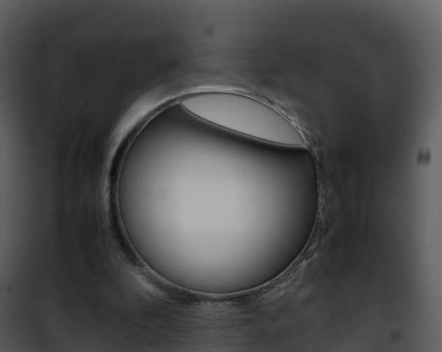 X0000101990296200807180831