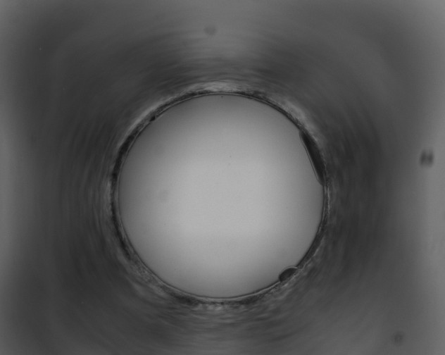 X0000101990297200807180831