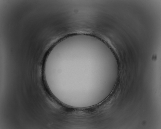 X0000101990299200807180831