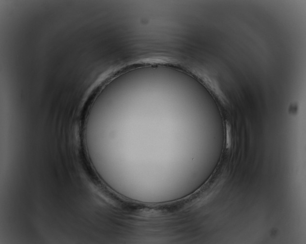 X0000101990300200807180831