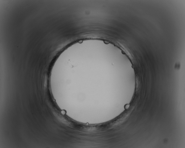 X0000101990301200807180831