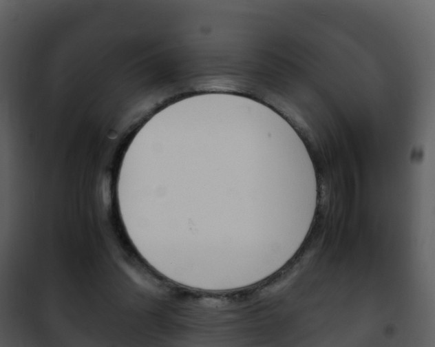 X0000101990302200807180831