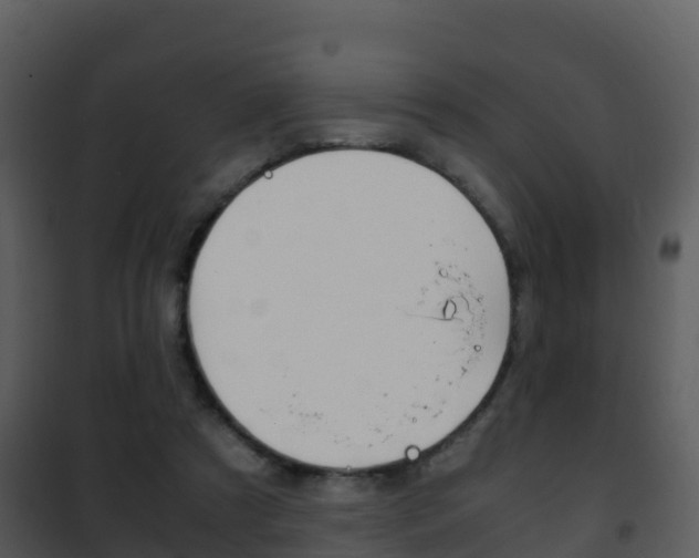 X0000101990305200807180831