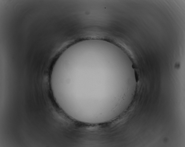 X0000101990306200807180831