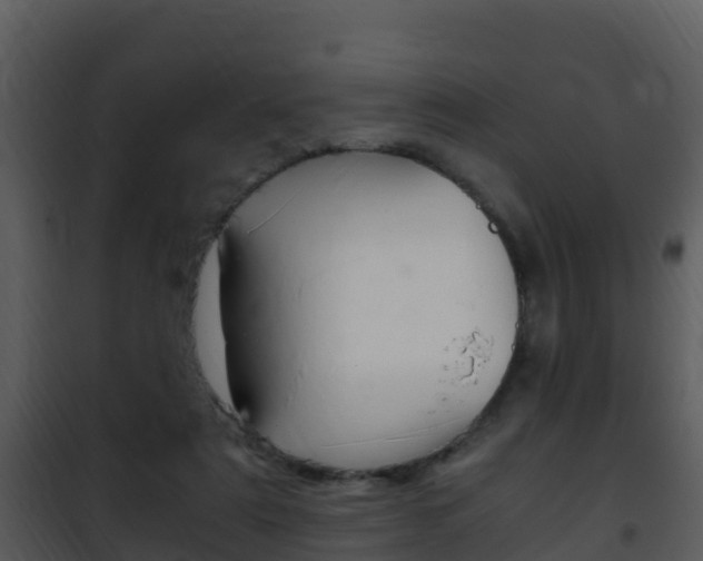 X0000101990307200807180831