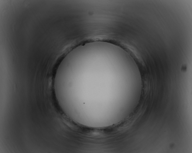 X0000101990308200807180831