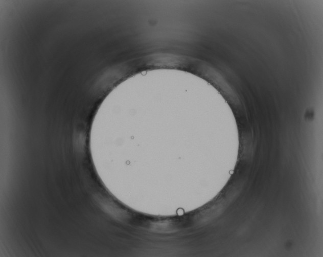 X0000101990309200807180831