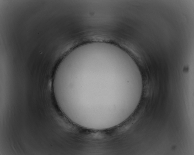 X0000101990310200807180831