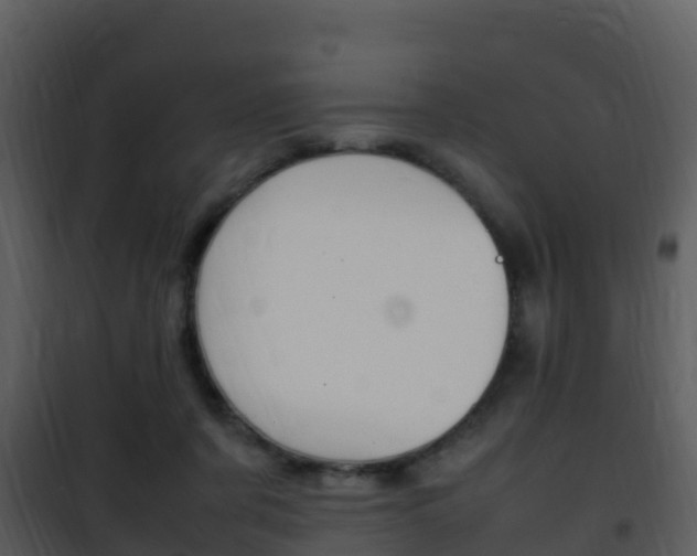 X0000101990311200807180831