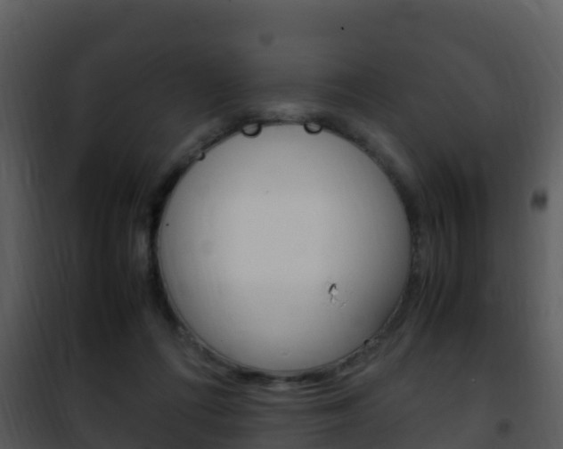 X0000101990312200807180831
