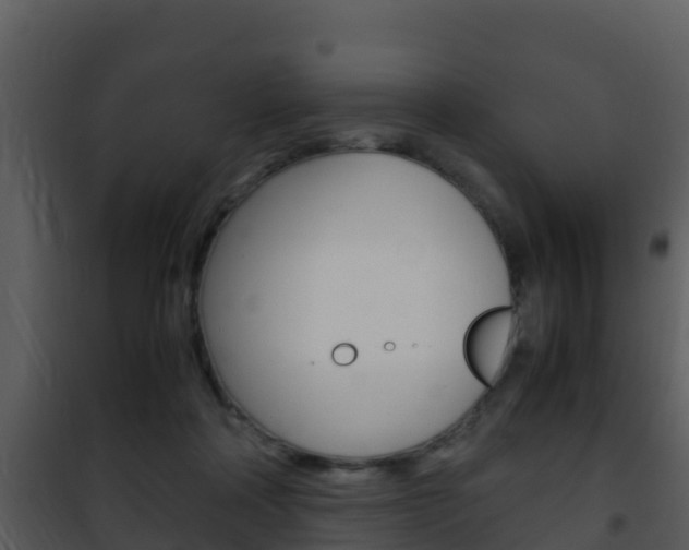 X0000101990314200807180831