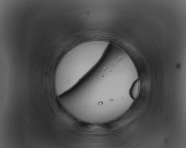 X0000101990315200807180831