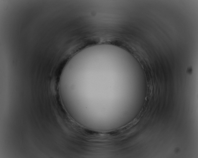 X0000101990316200807180831
