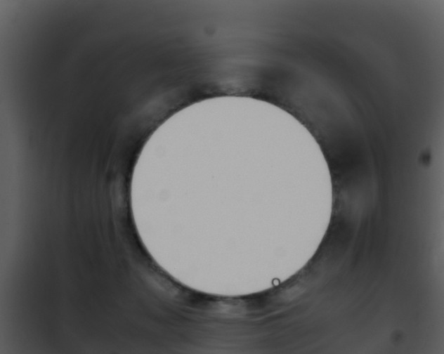 X0000101990317200807180831