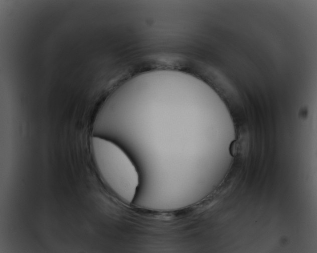 X0000101990318200807180831