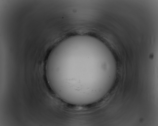 X0000101990319200807180831